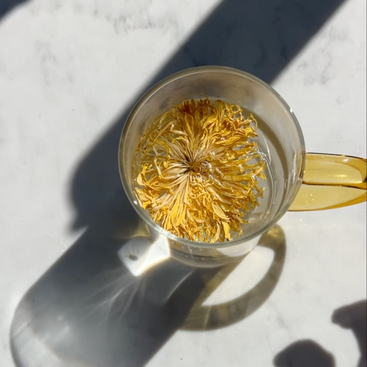 Moonbow Signature Glass Mug